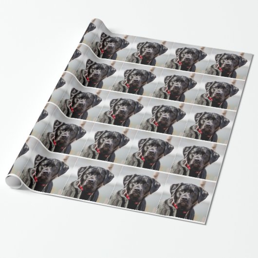 Black Lab Hund Pet Black Labrador Retriever Geschenkpapier (Ungerollt)