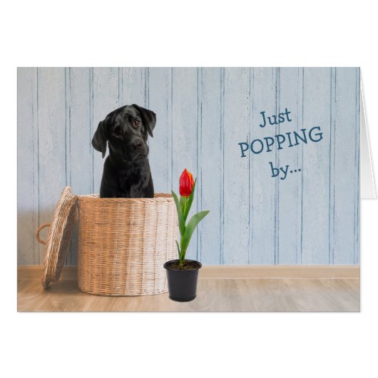 Black Lab Hund Wicker Basket Geburtstagskarte (Vorderseite (Horizontal))