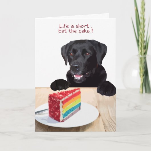 Black Lab Jeden Anlaß Card - Hundekuchen Geburtsta Karte (Vorderseite)