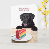 Black Lab Jeden Anlaß Card - Hundekuchen Geburtsta Karte (Gelbe Blume)