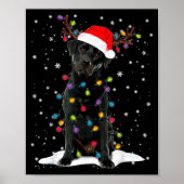 Black Lab Labrador Christmas Tree Light Pajama Dog Poster (Vorne)