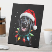 Black Lab Labrador Christmas Tree Light Pajama Dog Sockelschild (In Situ)