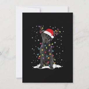 Black Lab Labrador Weihnachtsbaum Light Pajama Dog Einladung