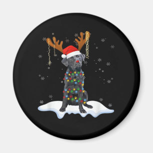 Black Lab Labrador Weihnachtsbaum Light Pajama Dog Magnet