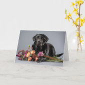 Black Lab Note Card Karte (Gelbe Blume)