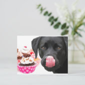 Black Lab Party - Hund Geburtstag - Cupcake Labrad Postkarte (Stehend Vorderseite)