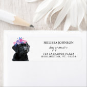Black Lab Pet Hund Business Hund Groomer-Adresse (Insitu)