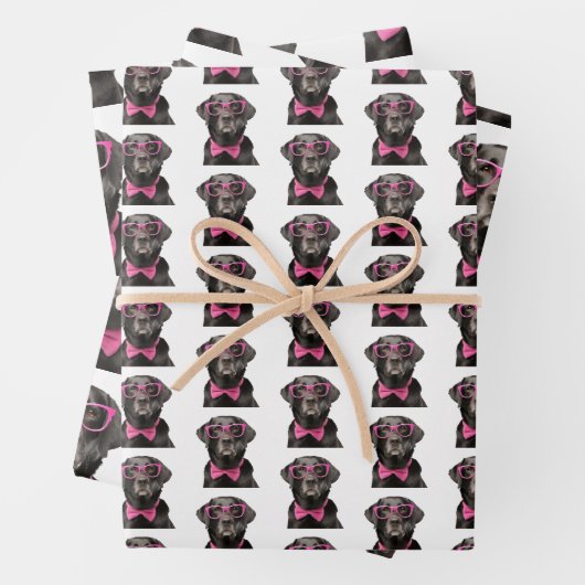 Black Lab Pink Brillen & Bowtie Geschenkblätter Geschenkpapier Set (Beispiel)