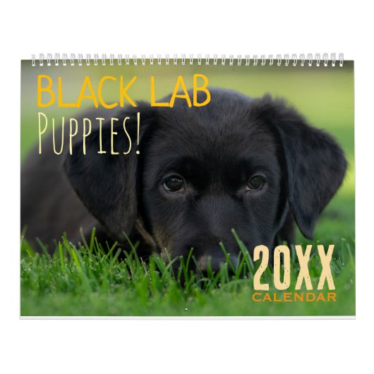 Black Lab Puppies Calendar Puppy Dog Labrador Kalender (Titelbild)