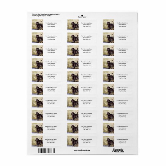 Black Lab Puppy (Vorne)