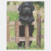 BLACK LAB PUPPY FLEECEDECKE (Vorderseite)