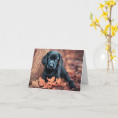 Black Lab Puppy Karte (Gelbe Blume)