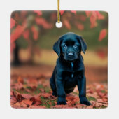 Black Lab Puppy Keramikornament (Rückseite)