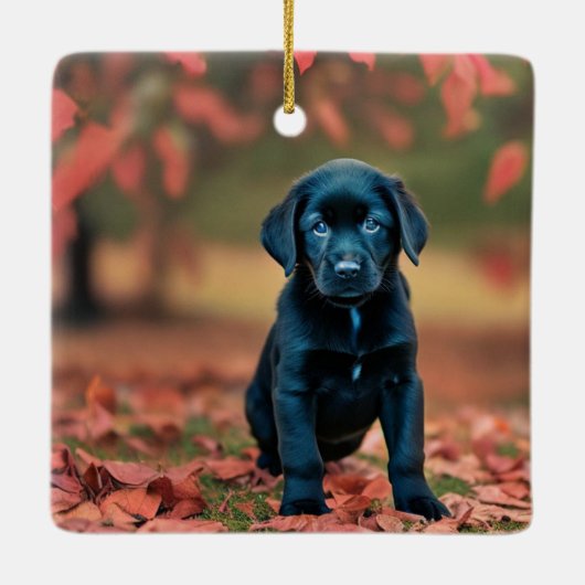 Black Lab Puppy Keramikornament (Rückseite)