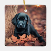 Black Lab Puppy Keramikornament (Vorderseite)