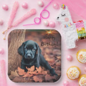 Black Lab Puppy Pappteller (Party)