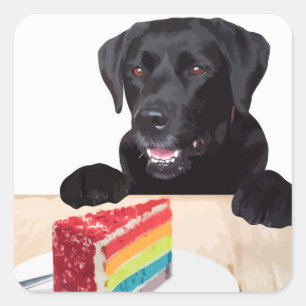 Black Lab Rainbow Cake Dog Geburtstagsparty Quadratischer Aufkleber