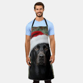 Black lab schürze (Getragen)