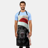 Black lab schürze (Getragen)