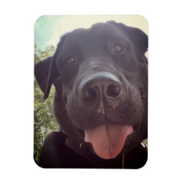 Black Lab Selfie Dog Foto Magnet