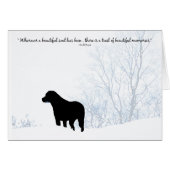 Black Lab Sympathy Card - Hund Beileid - Heimtierv (Vorderseite (Horizontal))