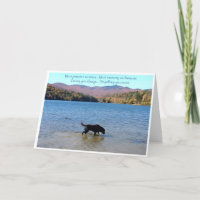 Black Lab Sympathy Card - Hund Beileid - Heimtierv