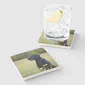 Black Lab Trivet Steinuntersetzer (Seitenansicht)