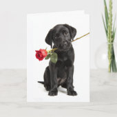 Black Lab Valentine Karte (Vorderseite)