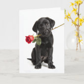 Black Lab Valentine Karte (Gelbe Blume)