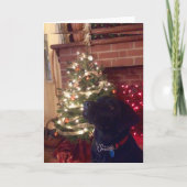 Black Lab Weihnachten (Vorderseite)