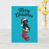 Black Lab Weihnachts-Strumpf Karte (Gelbe Blume)