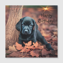 Black Lab Welpe Magnetic Birthday Card Magnetkarte