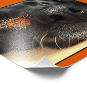 BLack-Labor-Hund mit Schmetterling Fotodruck (Ecke)