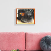 BLack-Labor-Hund mit Schmetterling Leinwanddruck (Insitu (Wohnzimmer))