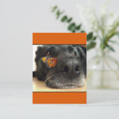 BLack-Labor-Hund mit Schmetterling Postkarte (Stehend Vorderseite)