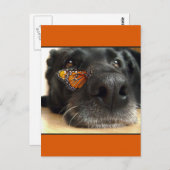 BLack-Labor-Hund mit Schmetterling Postkarte (Vorne/Hinten)