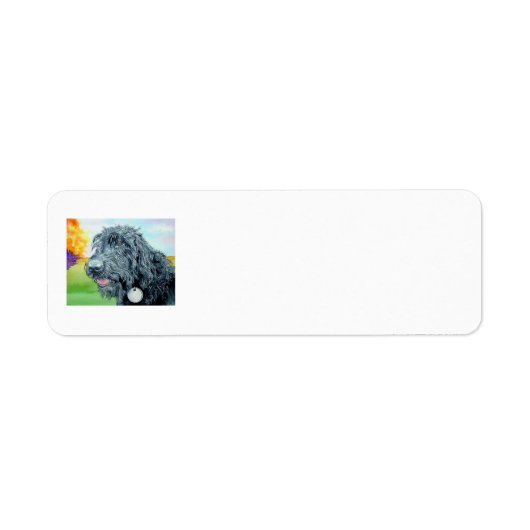Black Labradoodle (Vorne)