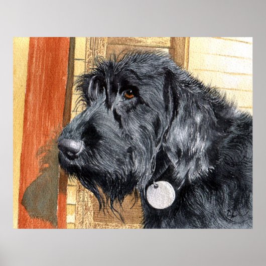 Black Labradoodle #1 Canvas Print Poster (Vorne)