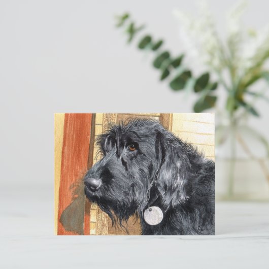 Black Labradoodle #1 Postkarte (Stehend Vorderseite)