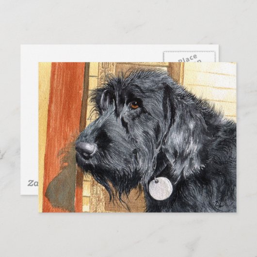 Black Labradoodle #1 Postkarte (Vorne/Hinten)