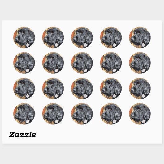 Black Labradoodle #1 Stickers (Blatt)