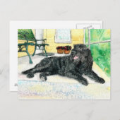 Black Labradoodle Postkarte (Vorne/Hinten)