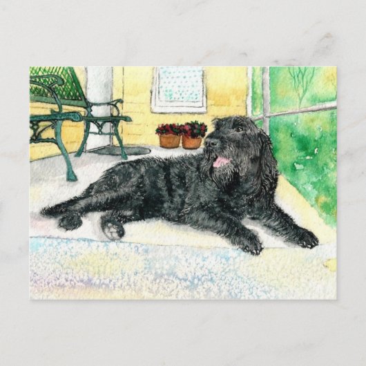 Black Labradoodle Postkarte (Vorderseite)