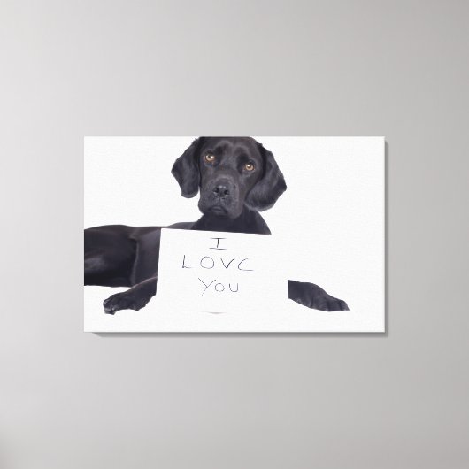 Black Labrador 13 Monate Leinwanddruck (Vorderseite)