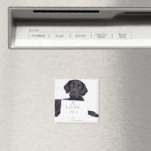 Black Labrador 13 Monate Magnet (In Situ (Geschirrspüler))