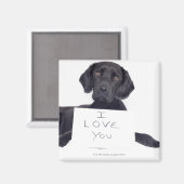Black Labrador 13 Monate Magnet (Vorderseite/Rückseite)