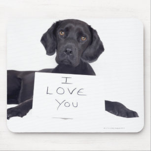 Black Labrador 13 Monate Mousepad