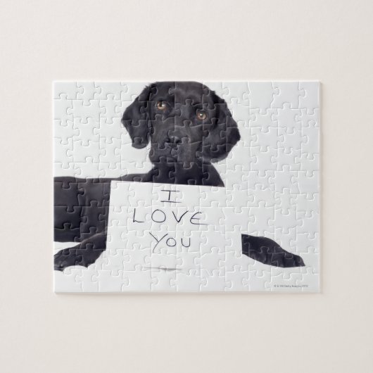 Black Labrador 13 Monate Puzzle (Horizontal)