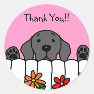 Black Labrador beobachtet Sie Runder Aufkleber