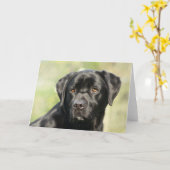 Black Labrador Birthday Card Karte (Gelbe Blume)